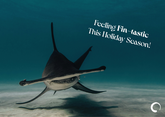 Fin-tastic Shark Card + Oceanic Global Recognition