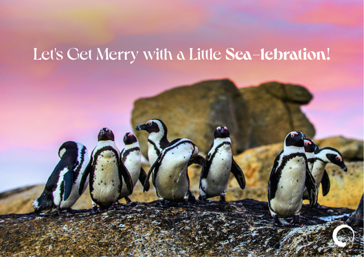 Merry Penguins Card + Oceanic Global Recognition