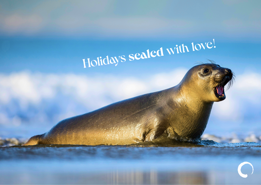 Seal-ed with Love Card + Oceanic Global Recognition