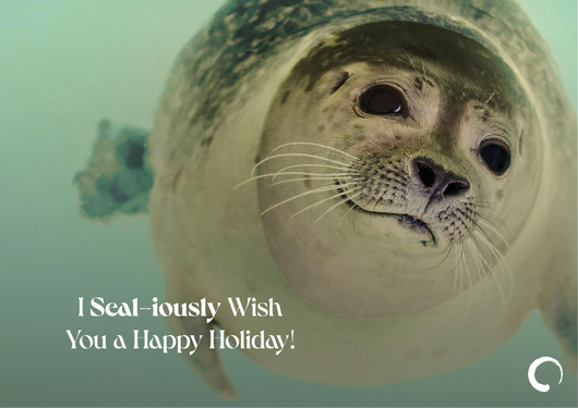 Cute Seal Card + Oceanic Global Recognition