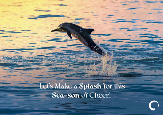Splashing Dolphin Card + Oceanic Global Recognition