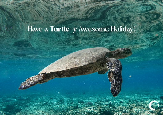 Turtle-y Holiday Card + Oceanic Global Recognition