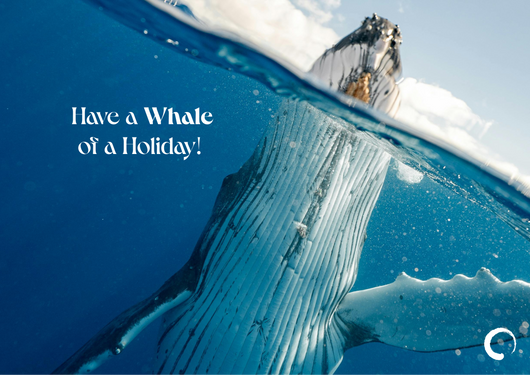 Whale of a Holiday Card + Oceanic Global Recognition